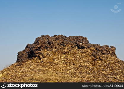 dung hill with a blue sky. dung hill