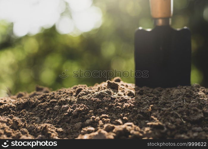 Dung or manure for planting.