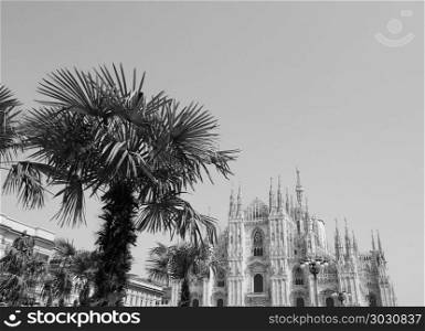 Duomo (meaning Cathedral) in Milan, black and white. Duomo di Milano (meaning Milan Cathedral) church with palm trees in Milan, Italy in black and white