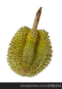 Durian fruits