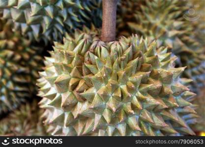 durian fruits atthe market in the city of Amnat Charoen in the Region of Isan in Northeast Thailand in Thailand.&#xA;