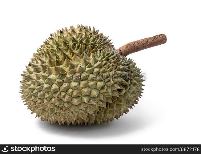 durian isolated on white