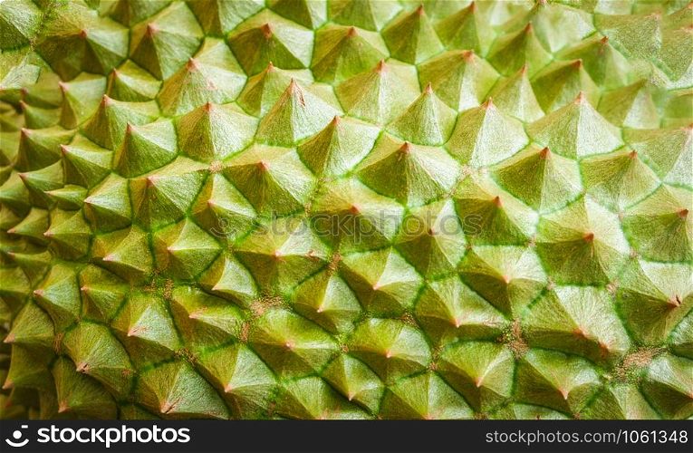 Durian skin / Close up of tropical fruit durian texture background