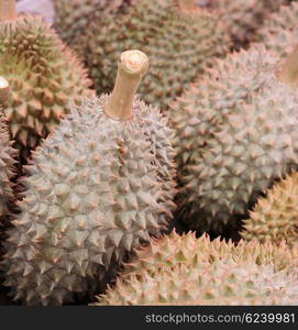 Durian - the most exotic fruit