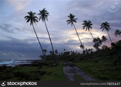 Dusk on the road near sea in Samoa
