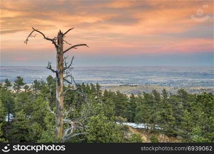 dusk over plains and foothills of northern Colorado as seen from Horsetooth Mountain near Fort Collins