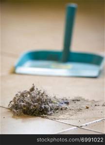 Dustpan and brush sweeping up dust on the floor at home