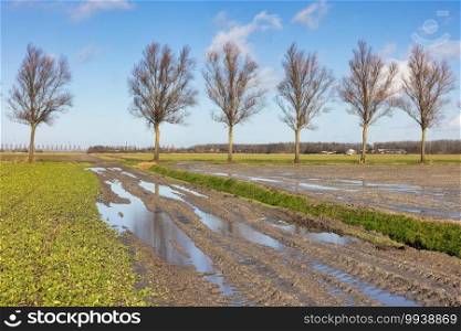 Dutch agricultural landscape with country road and field covered with water pools after a heavy rain shower. Dutch agricultural landscape with water pools after a rain shower