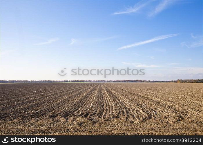 Dutch agriculture landscape with blue sky