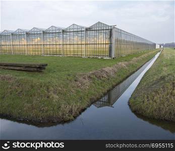 dutch greenhouse with lights on in the netherlands near almere in flevoland