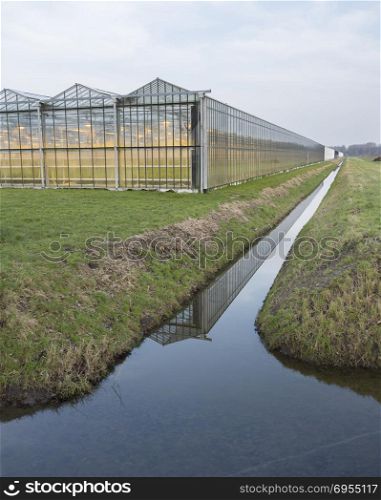 dutch greenhouse with lights on in the netherlands near almere in flevoland
