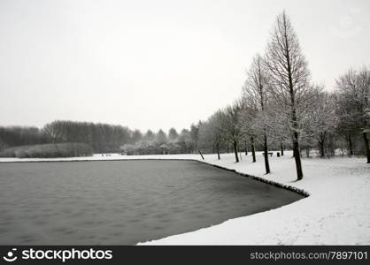 dutch landscape in the snow