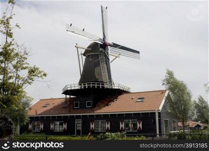Dutch windmill on house. Typical dutch windmill on house