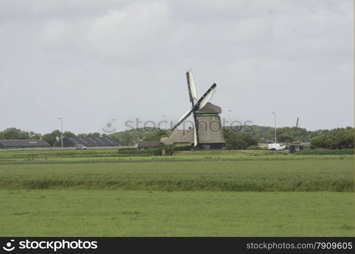 dutch windmill with a green meadow as foreground