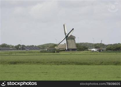 dutch windmill with a green meadow as foreground