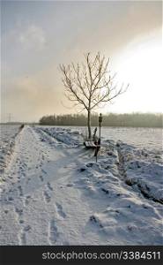 Dutch Winter