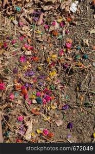 Dyed colorful dry flowers on the soil ground