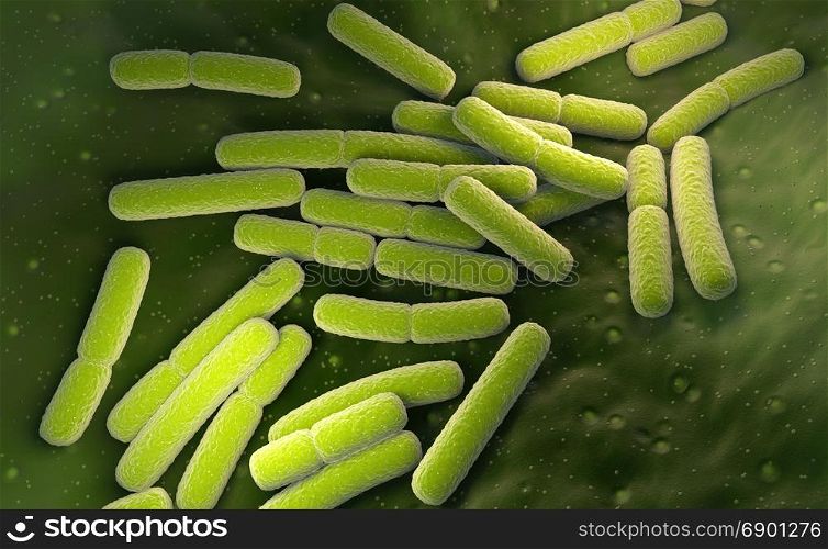 E. coli. Escherichia coli bacteria cells. E. coli. Escherichia coli bacteria cells. 3D illustration