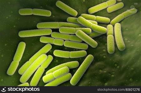 E. coli. Escherichia coli bacteria cells. E. coli. Escherichia coli bacteria cells. 3D illustration