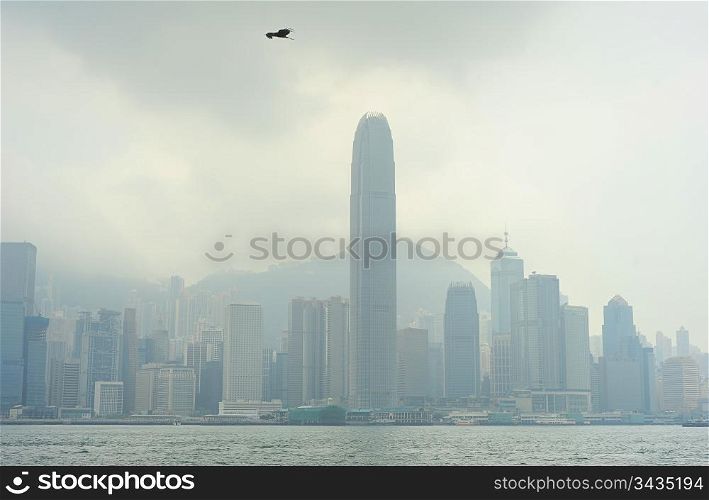 Eagle flying above the Hong Kong skyscrapers