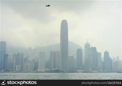 Eagle flying above the Hong Kong skyscrapers