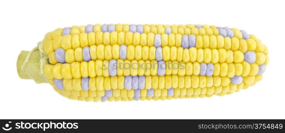 ear of corn isolated on a white background (with clipping work path). Corn