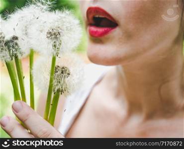 Early, bright dandelions on the background of young, green grass. Dandelions on the background of green grass