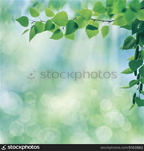Early morning, abstract summer landscape with green foliage
