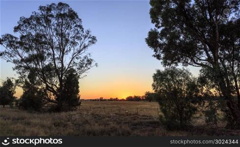 Early morning, at sunrise, in central New South Wales, on the Newell Highway near Parkes