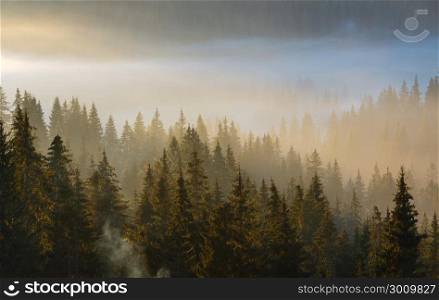 Early morning fog and first morning sun rays over the autumn slopes of Carpathian Mountains (Yablunytsia village and pass, Ivano-Frankivsk oblast, Ukraine).