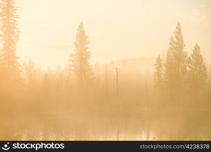 Early morning in the wilderness of North Sweden.