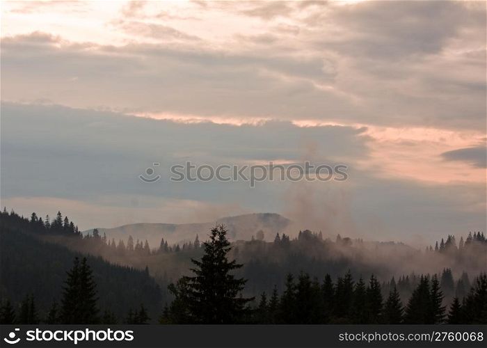 Early morning mist covering the mountain valley witn forest. Carpathian mountain, Ukraine