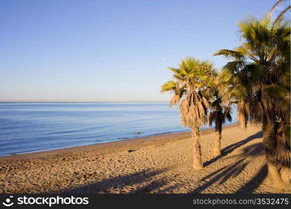 Early morning on a sandy beach by the Mediterranean Sea in Marbella, Costa del Sol, Andalucia, Spain.