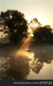 Early morning on the banks of the misty river