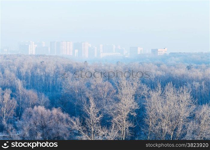 early morning over forest and town in cold winter
