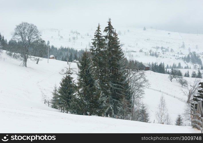 Early morning winter mountain village landscape (Jablunytsia village, Carpathian Mountains, Ukraine). Overcast windy bad weather with some blizzard.