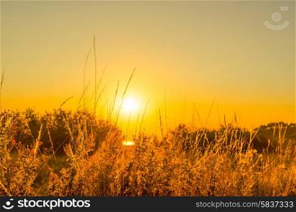 Early morning with a countryside sunrise over a field