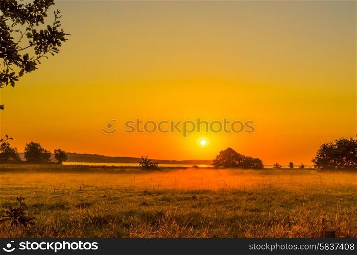 Early morning with a sunrise over a misty field