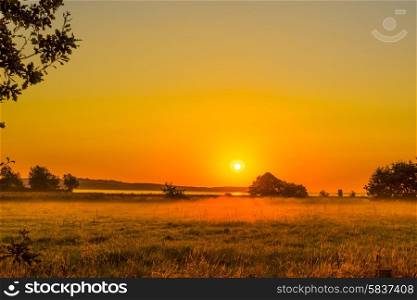 Early morning with a sunrise over a misty field
