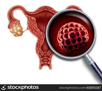 Early pregnancy blastocyst implanted inside a human uterus as a fertilization medical concept as an implantation and reproductive cell division icon in reproduction representing anatomy fertility success symbol in a 3D illustration.
