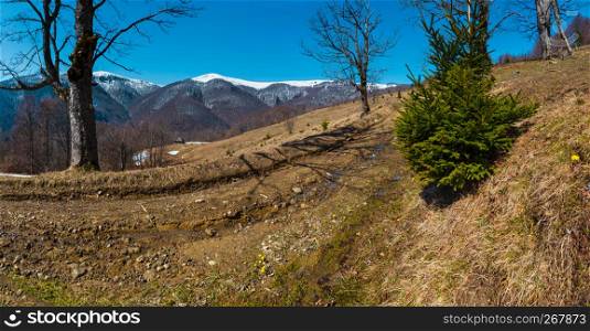 Early spring Carpathian mountains plateau landscape with snow-covered ridge tops in far, Ukraine.