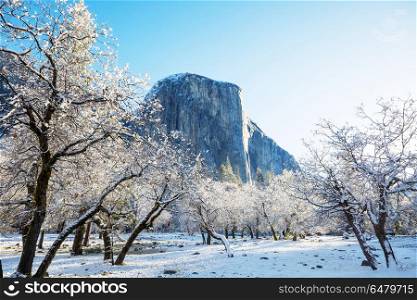 Early spring in Yosemite. Beautiful early spring landscapes in Yosemite National Park, Yosemite, USA