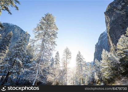 Early spring in Yosemite. Beautiful early spring landscapes in Yosemite National Park, Yosemite, USA