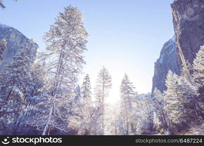 Early spring in Yosemite. Beautiful early spring landscapes in Yosemite National Park, Yosemite, USA