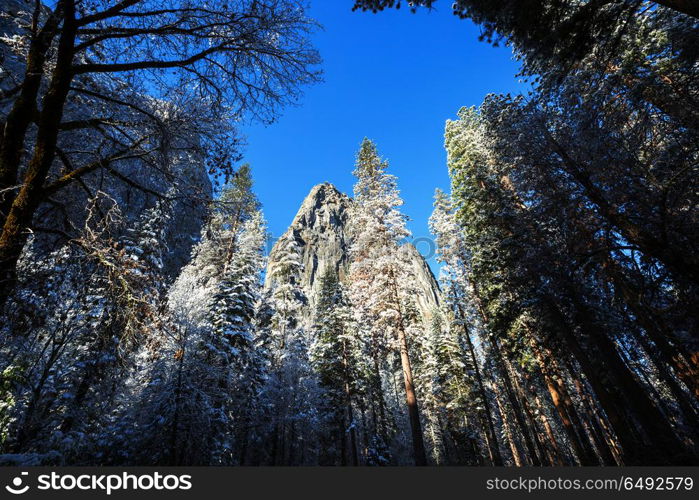 Early spring in Yosemite. Beautiful early spring landscapes in Yosemite National Park, Yosemite, USA