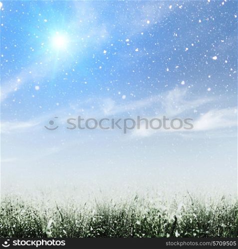 Early winter on the meadow, abstract environmental backgrounds