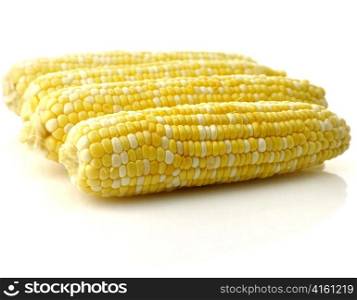 Ears of corn on white background