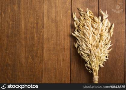 ears of oat on wood. ears of oat on wooden background