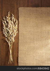 ears of oat on wood. ears of oat on wooden background