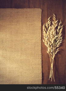 ears of oat on wooden background